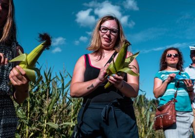 Na zdjęciu dwie kobiety, mężczyzna i dziewczynka przy polu kukurydzy. Obierają z liści zielone kolby. Za nimi błękitne niebo.