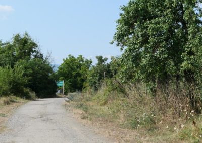 Zdjęcie przedstawia polną drogę, na której krańcu widnieje zielona tablica informacyjna w języku gruzińskim, najpewniej informująca o granicy. Wokół zarośla. Jest słoneczny dzień.